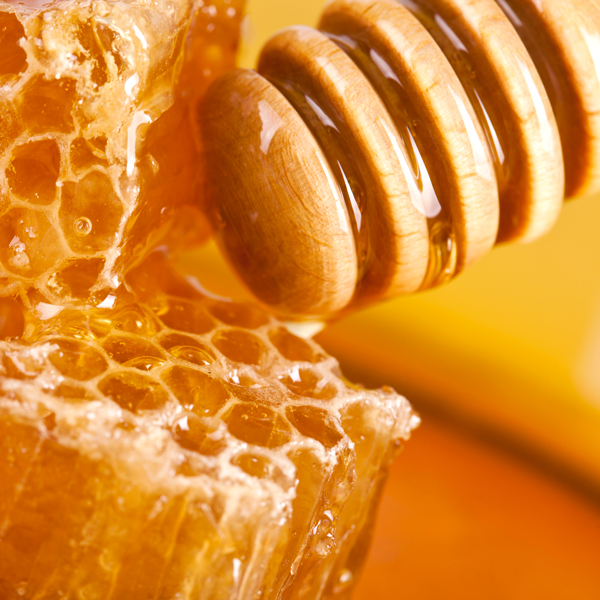 sourcing Biscuits